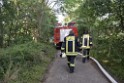 Waldbrand Koeln Hoehenhaus Hoehenfelder Mauspfad P024